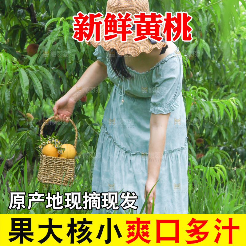 女孩手里提着一篮采摘的黄桃