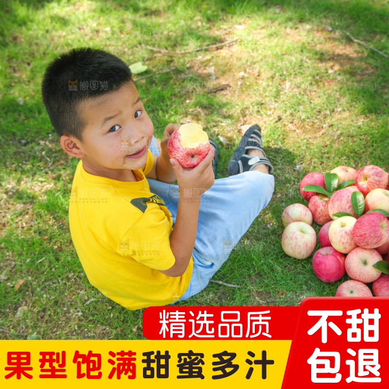 小男孩正在吃苹果