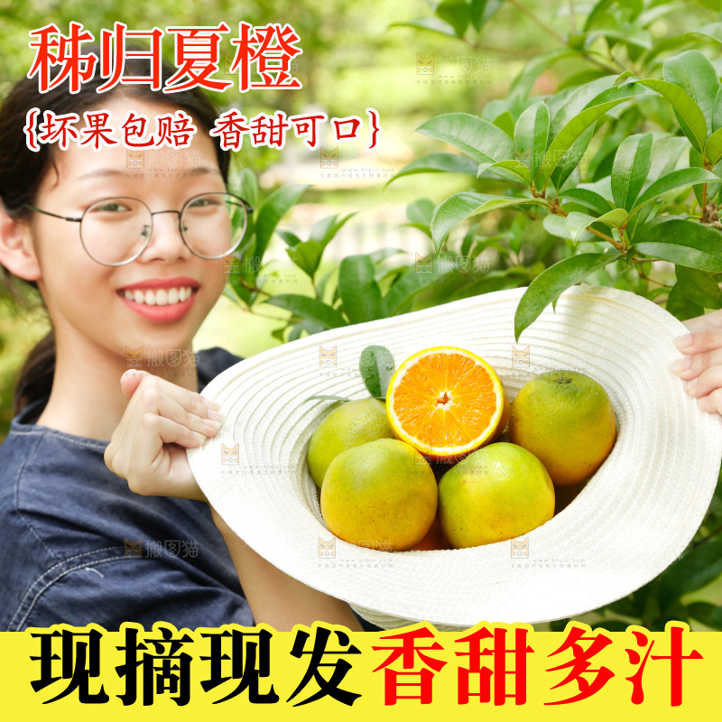 帽子里装着夏橙