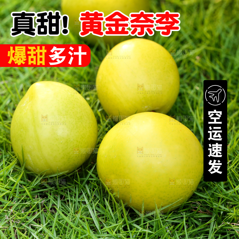 草地上摆放着黄金奈李