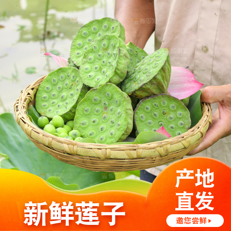 手里端着一篮新鲜莲蓬子