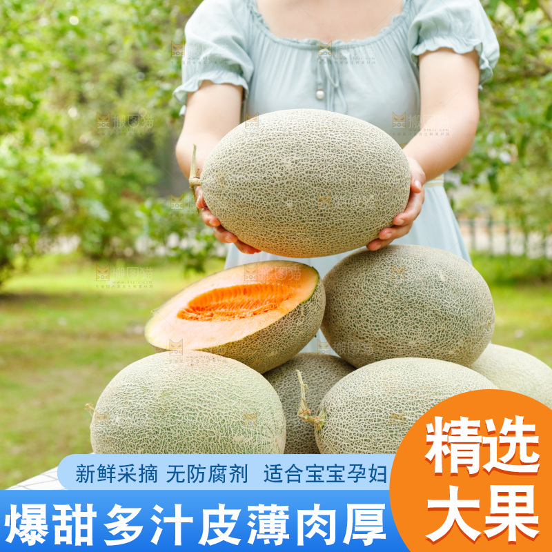 桌子上放着网纹瓜