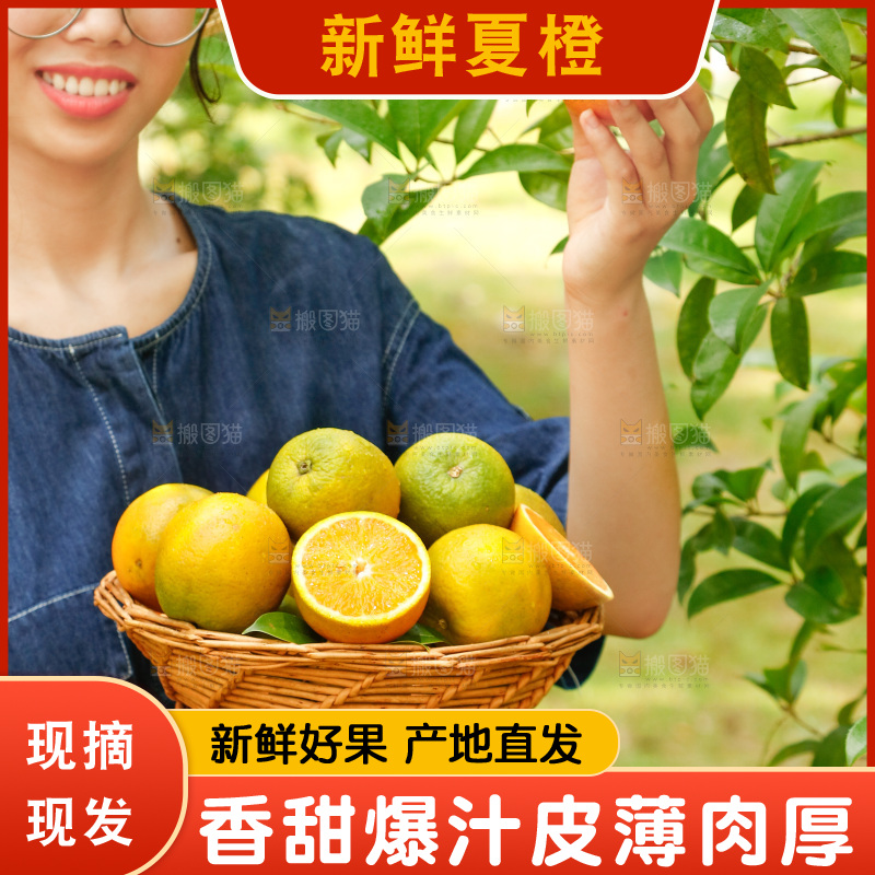 手里端着一篮秭归夏橙