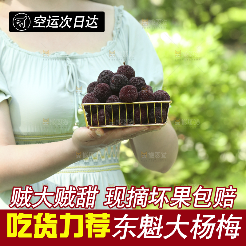 手里拿着一篮新鲜杨梅