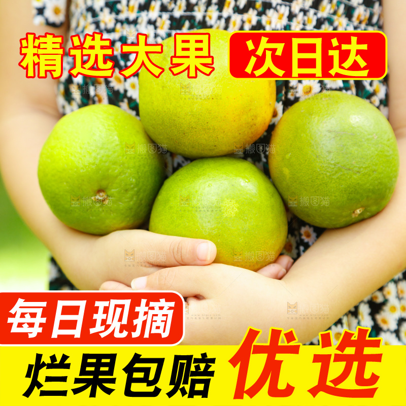 手里拿着一篮秭归夏橙