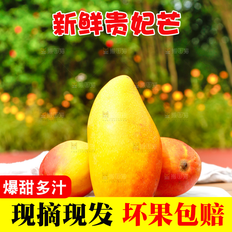 桌子摆放着贵妃芒
