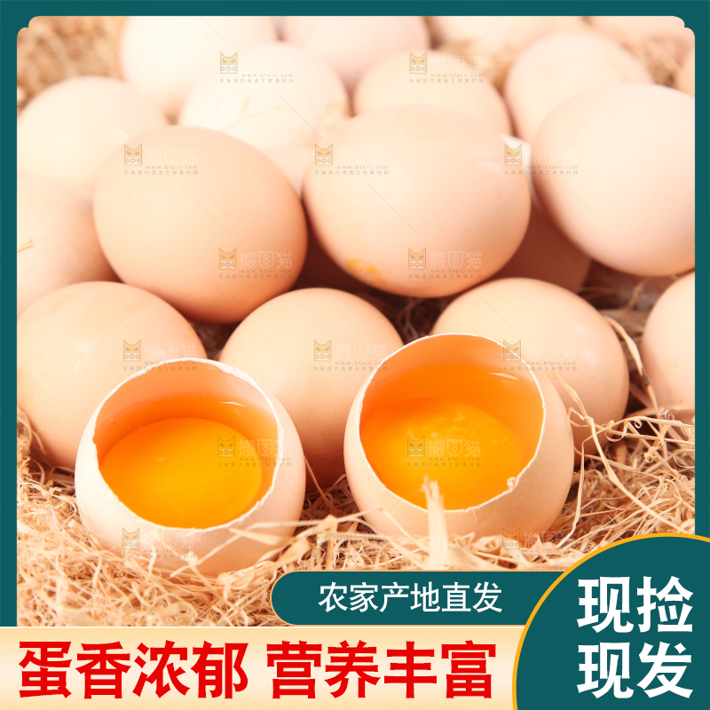 草堆上摆放着散养土鸡蛋