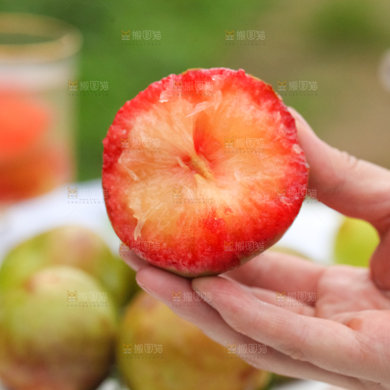 手里拿着新鲜青皮红心李