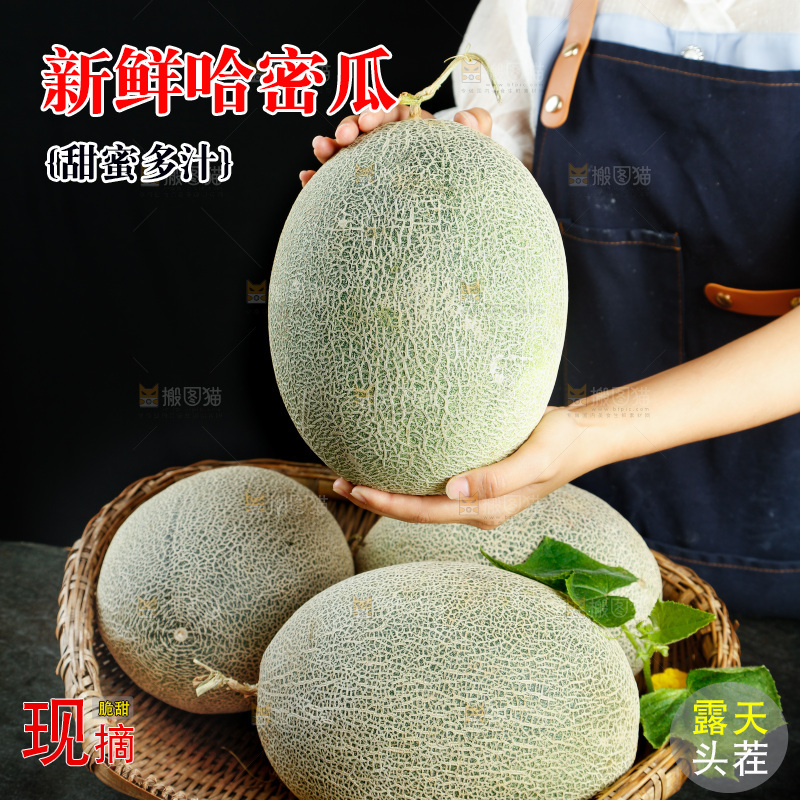 篮子里装着网纹瓜