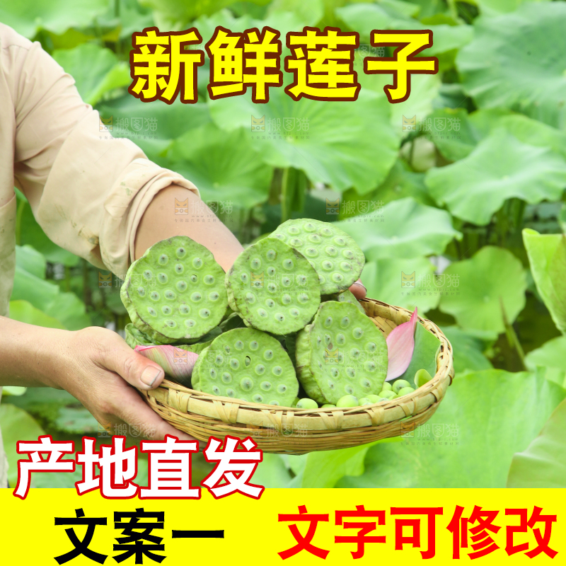 手里端着一篮新鲜莲蓬
