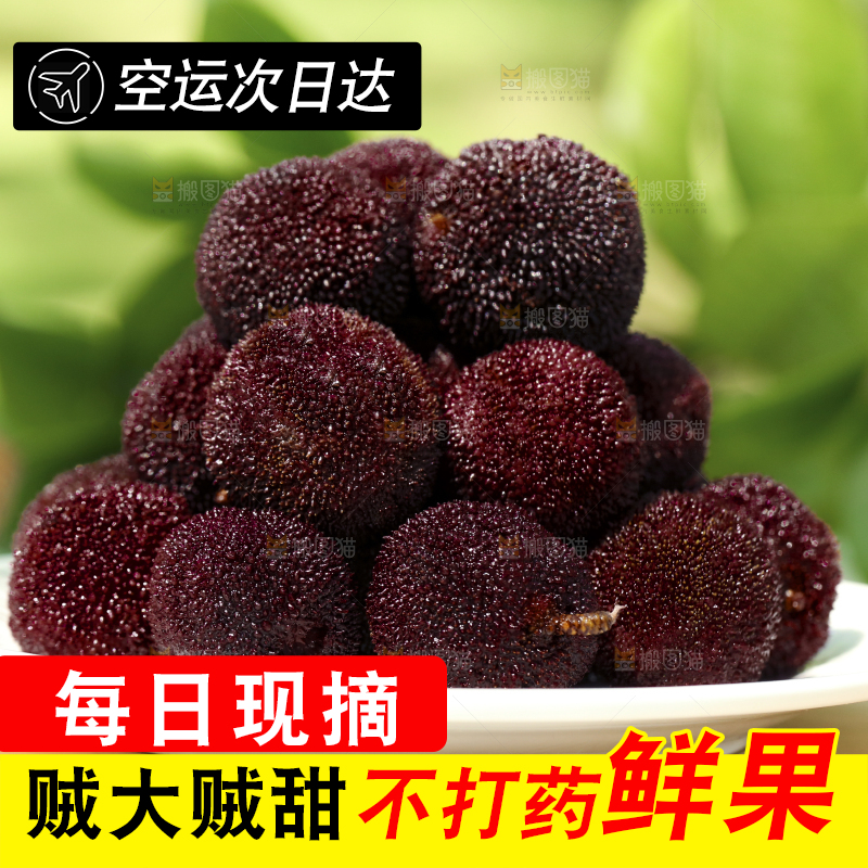 盘子里装着杨梅
