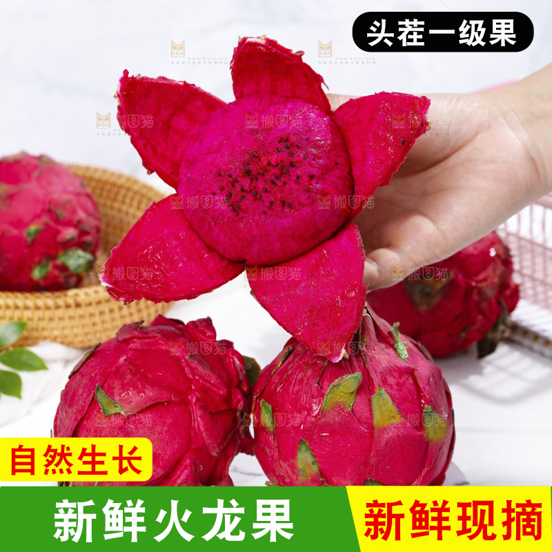手里拿着红心火龙果