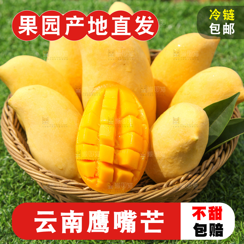 绿草地上放着一篮芒果