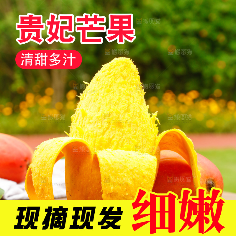 桌子摆放着贵妃芒