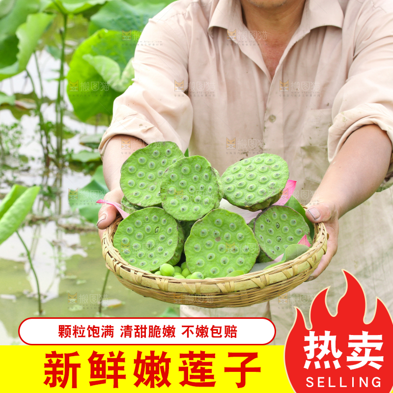 手里端着一篮新鲜莲蓬子