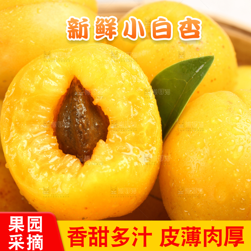 堆放着一堆的小白杏