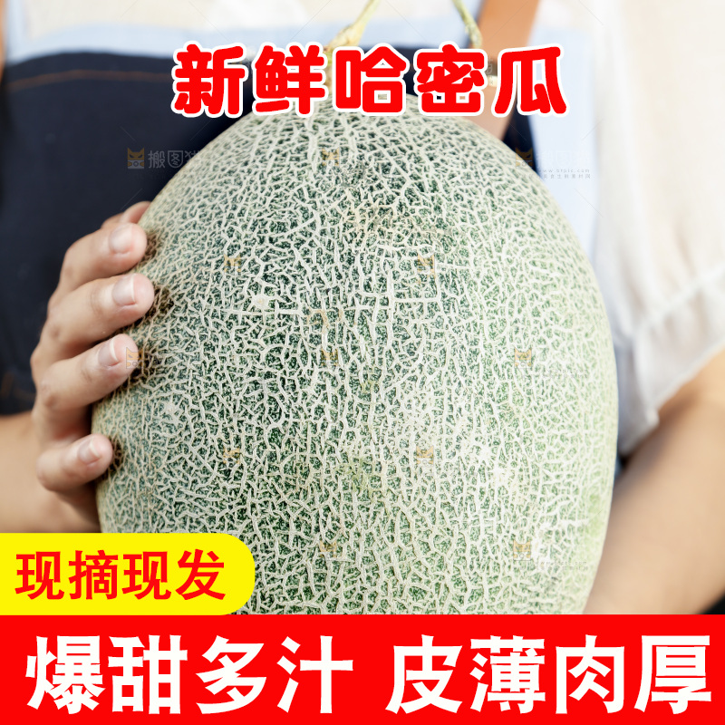 手里拿着网纹瓜