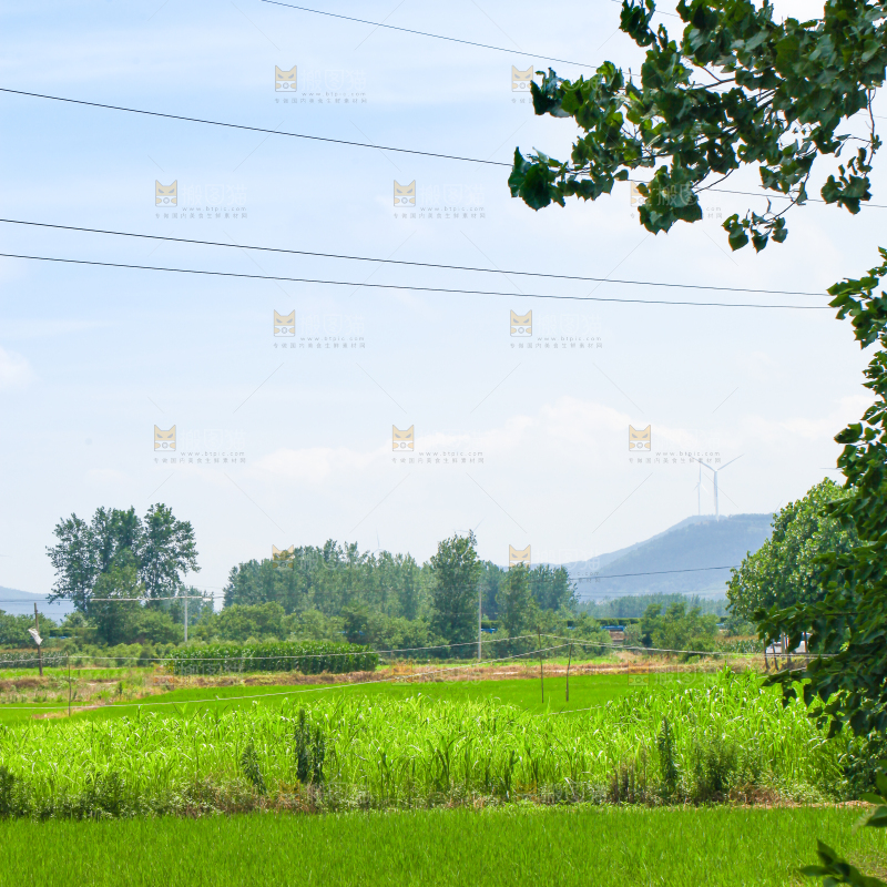 一片农田地