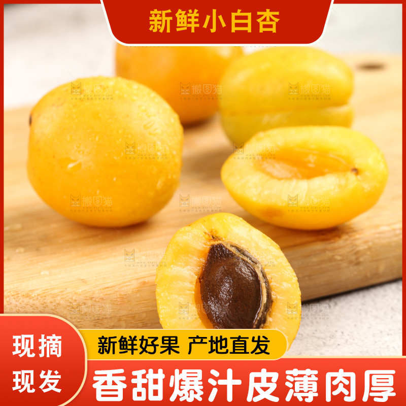 白底上摆放着小白杏