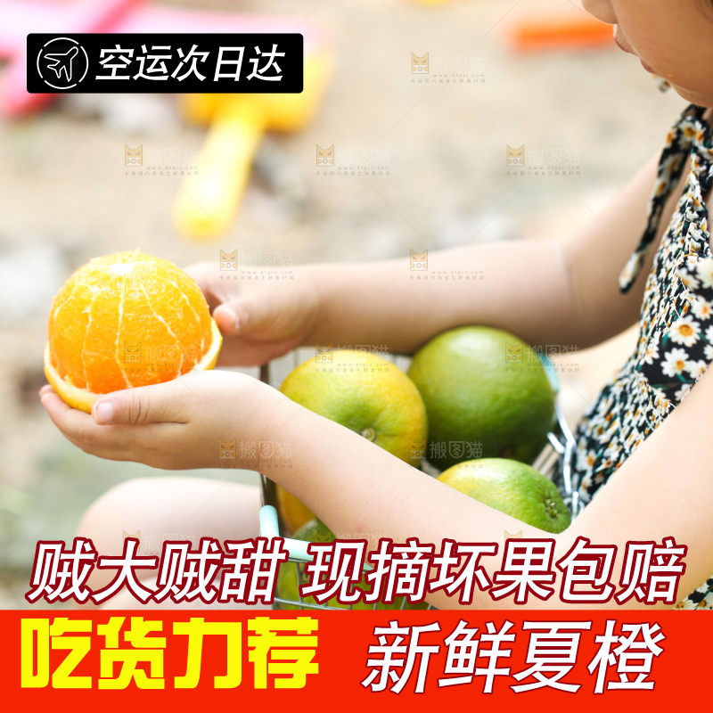 小女孩小手里拿着夏橙