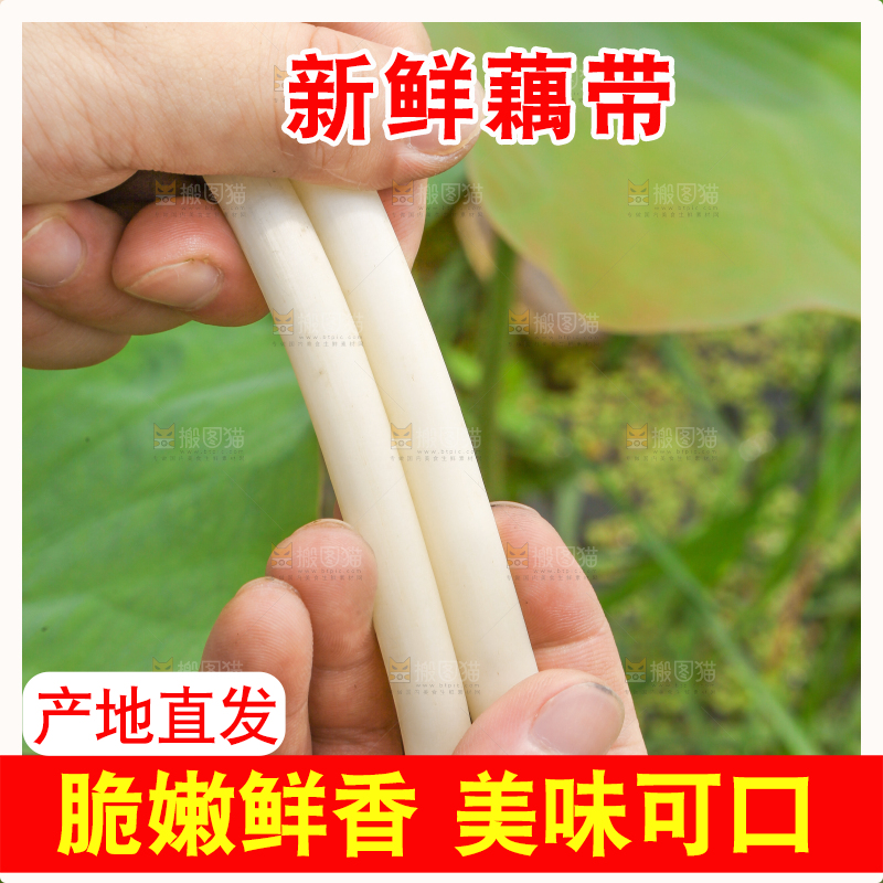 手里拿着新鲜藕带