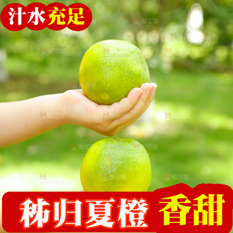 手里拿着夏橙