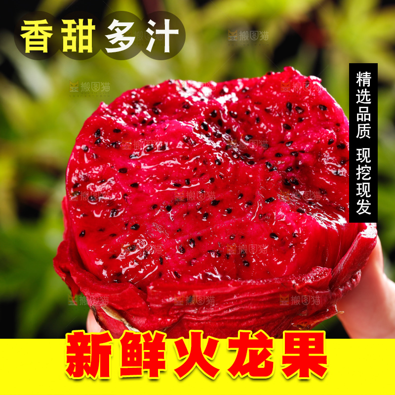 手里拿着红心火龙果