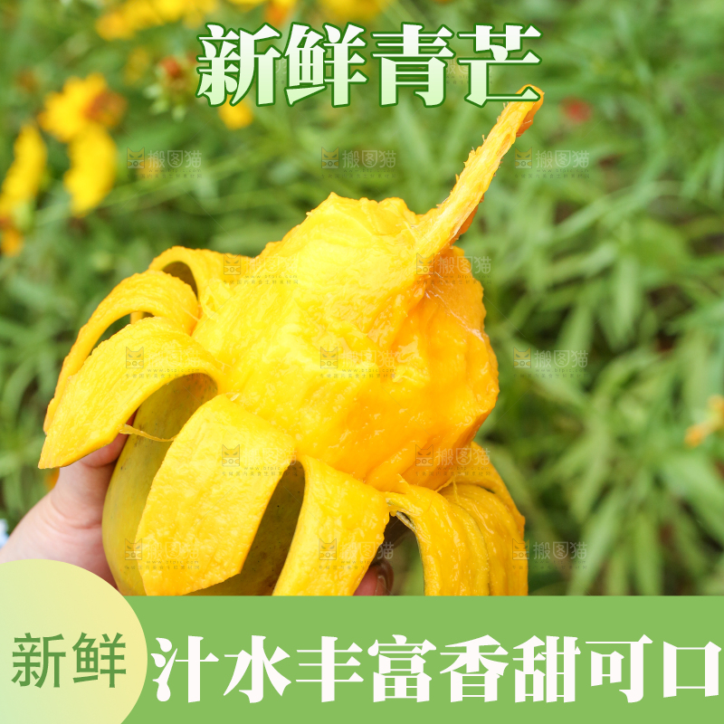 手里拿着剥皮的大青芒