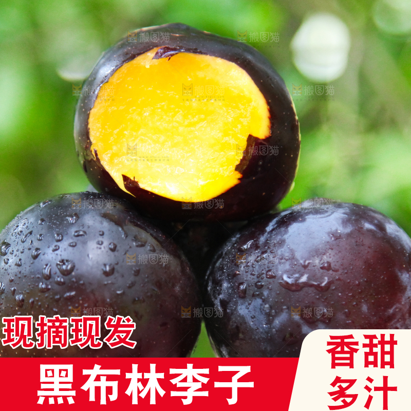 手里拿着黑布林