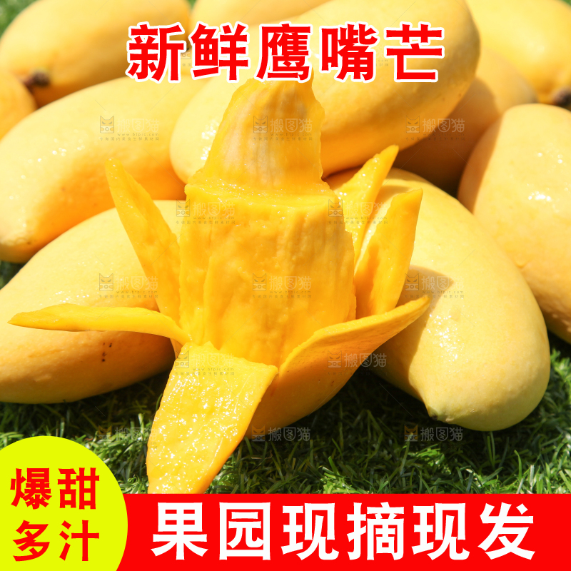 绿草地上摆放着鹰嘴芒果