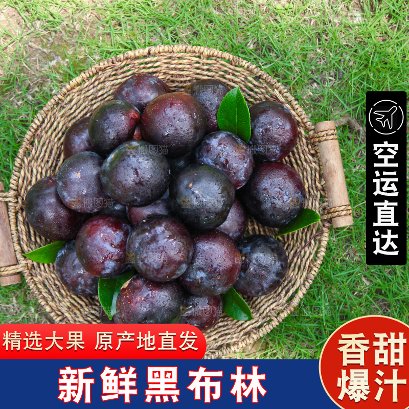 草地上放着一篮黑布林李子