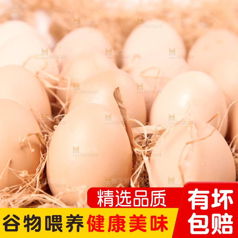 草堆上摆放着散养土鸡蛋