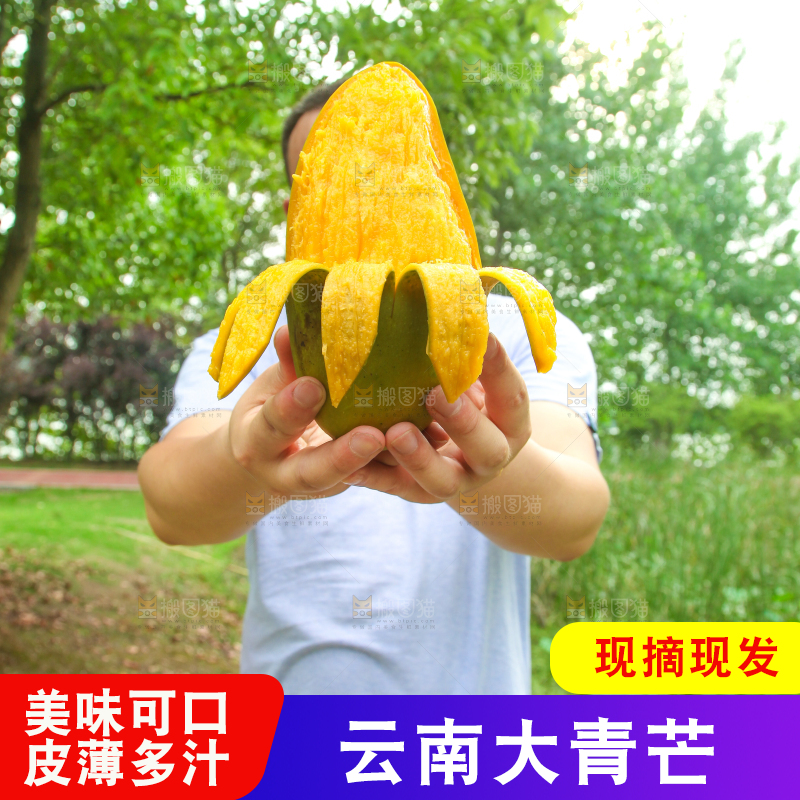 手里拿着大青芒