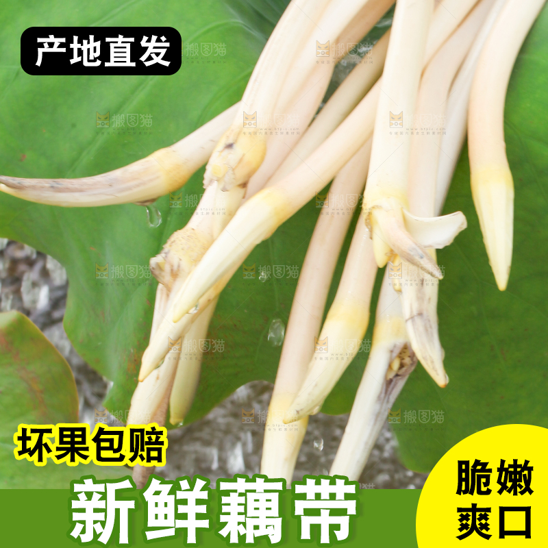 手里拿着新鲜藕带