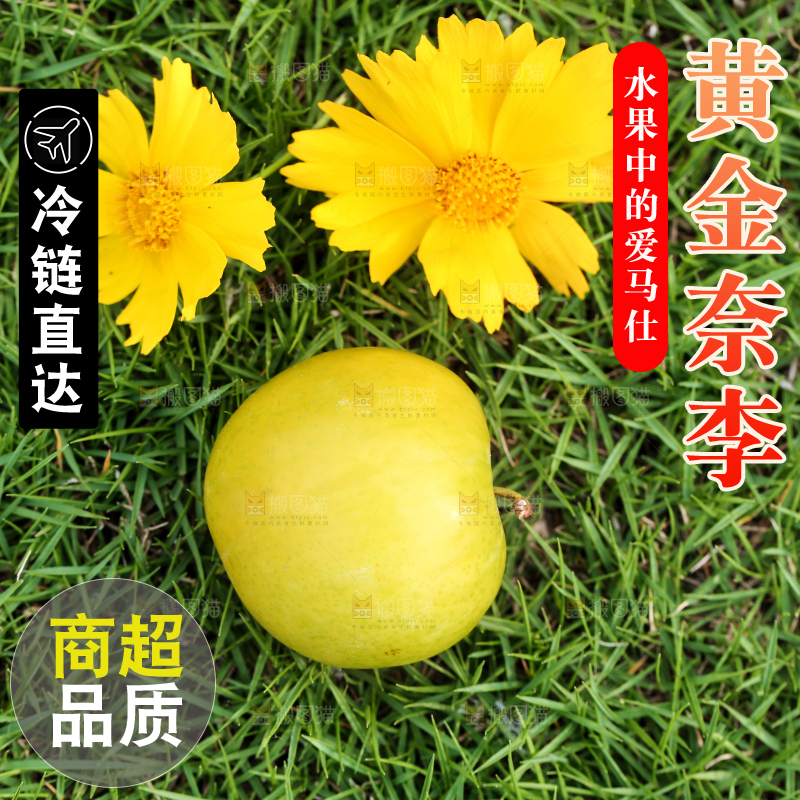 草地上摆放着黄金李