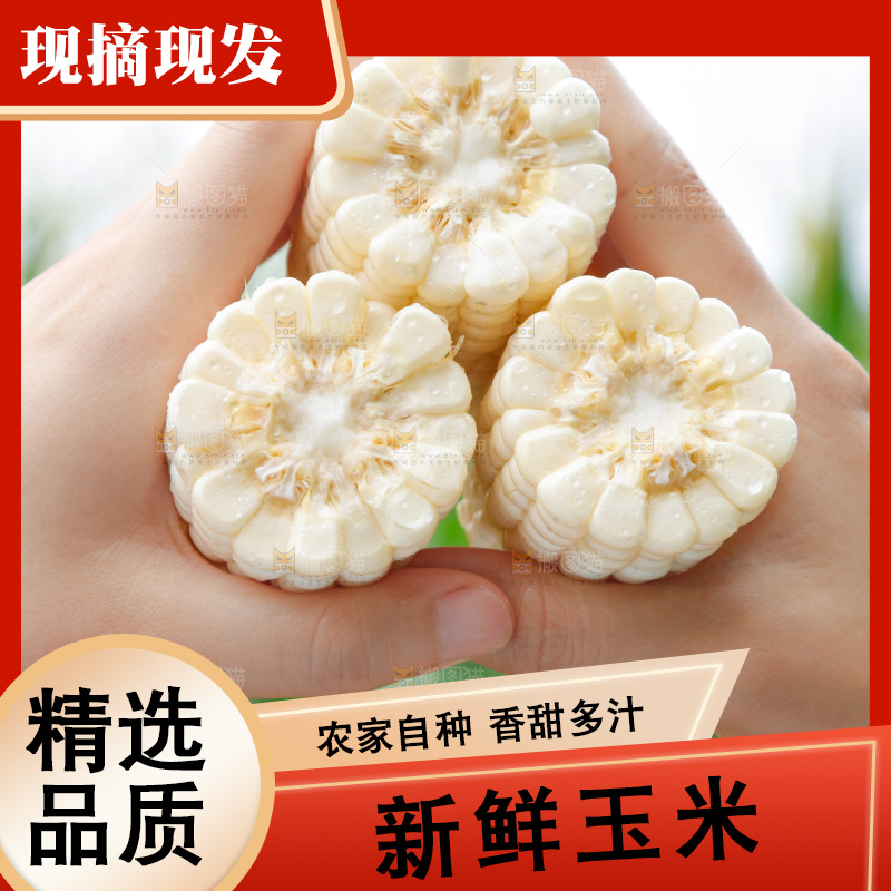 手里拿着甜玉米