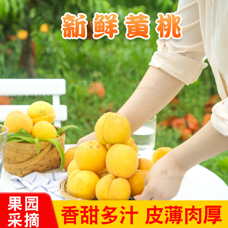 篮子里装着黄肉桃