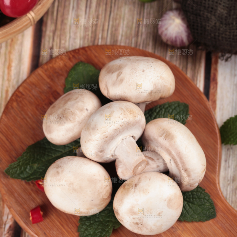 木底上摆放着白菌菇