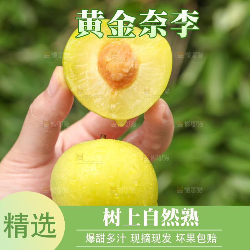 手里拿着蜂糖李子