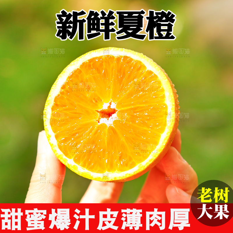 手里拿着橙子