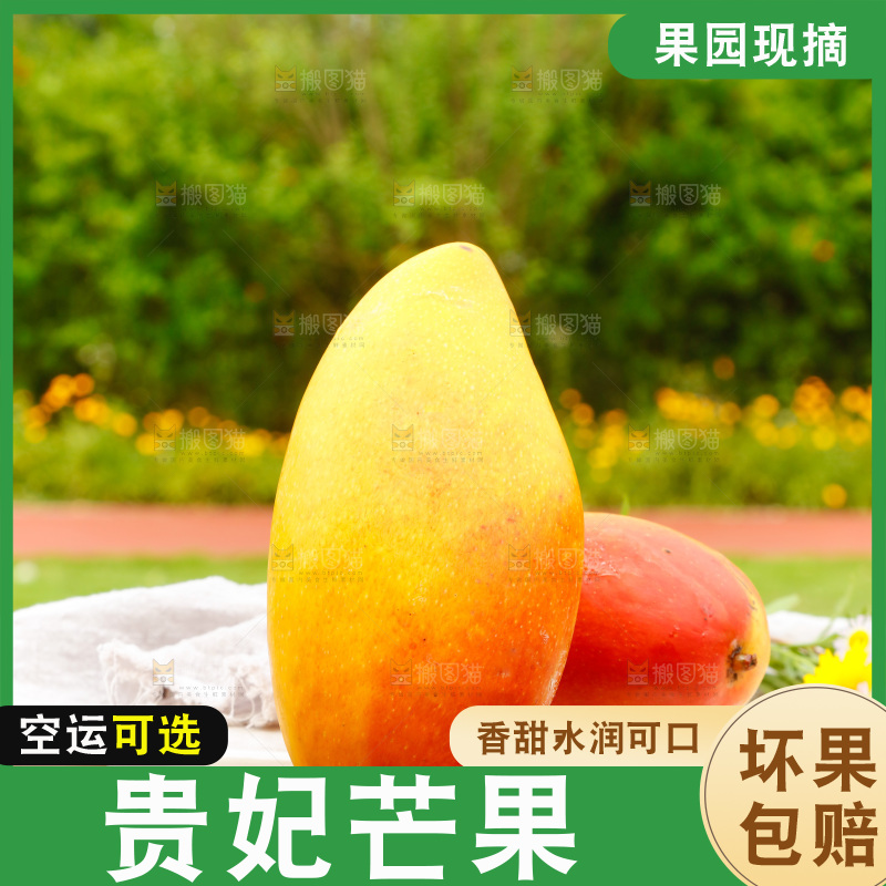 桌子摆放着贵妃芒