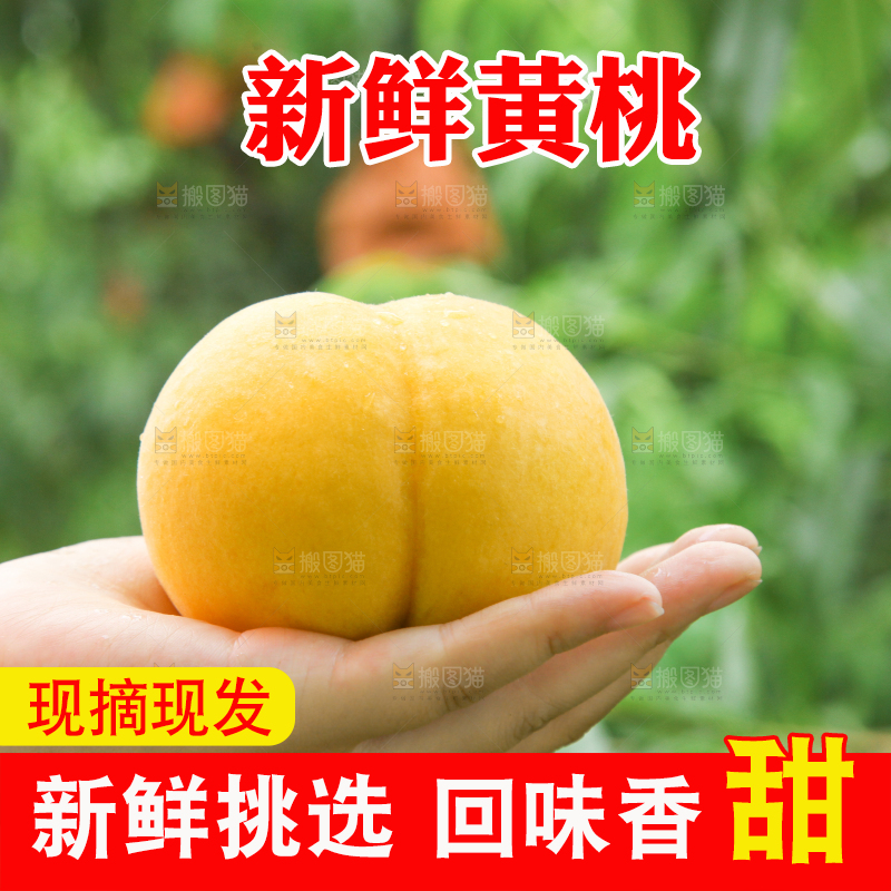 手里拿着黄皮黄桃