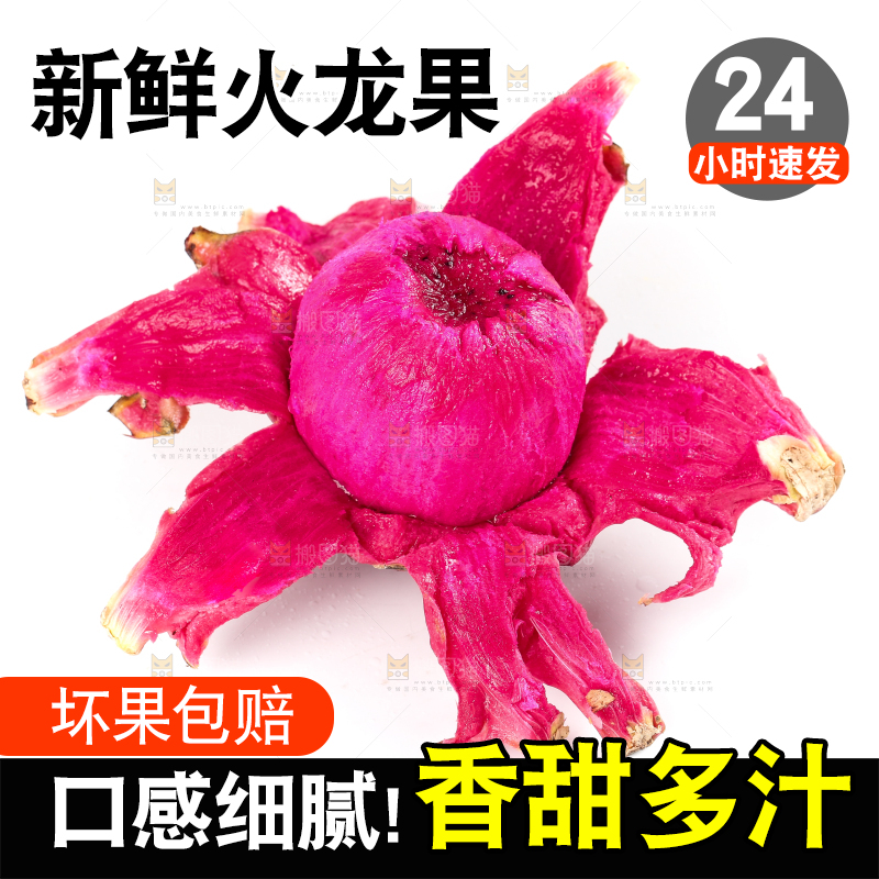 白底上摆放着红心火龙果