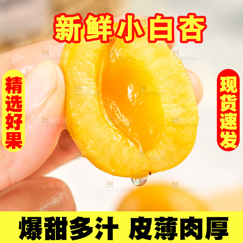 手里拿着小白杏
