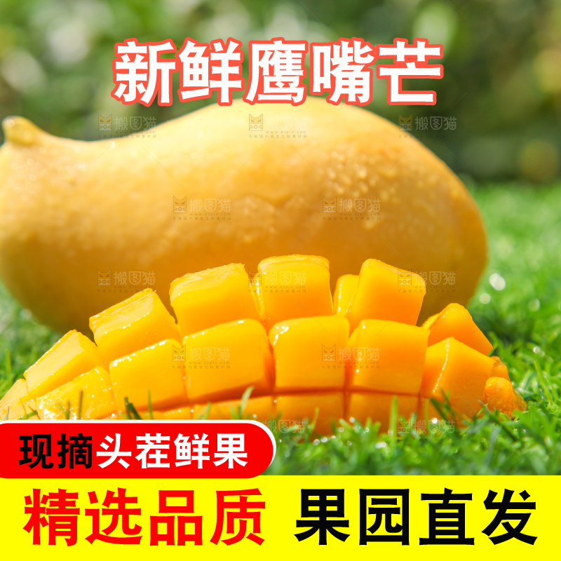 绿草地上摆放着鹰嘴芒果