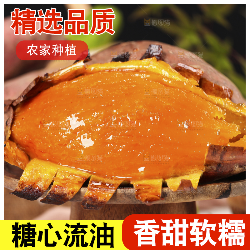 木底上摆放着烟薯25号