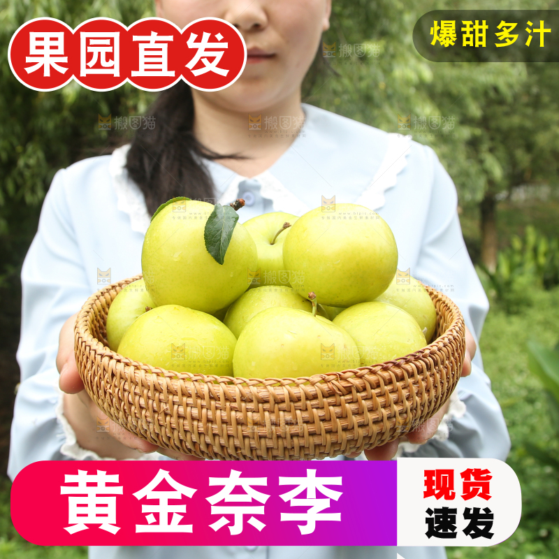 手里拿着一篮黄金奈李