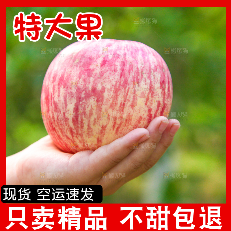 手里拿着红富士苹果