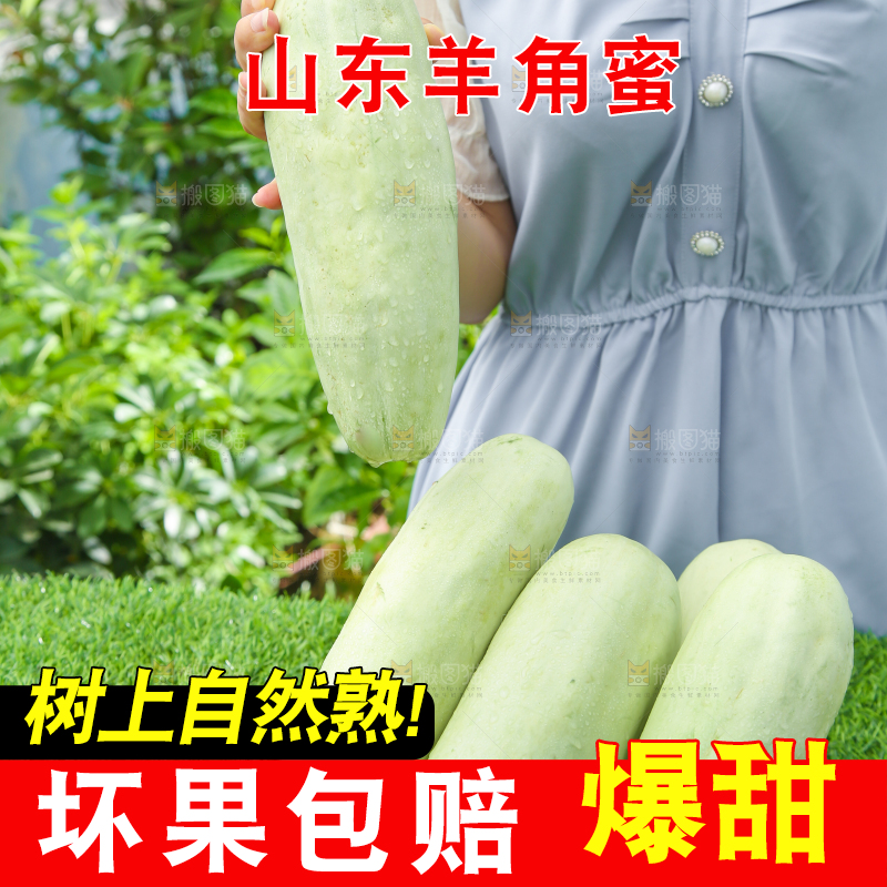 手里拿着羊角蜜
