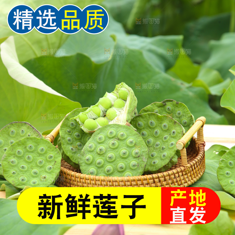 篮子里装着新鲜莲蓬